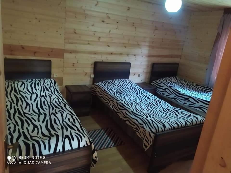 Guesthouse Luka Ushguli Eksteriør billede